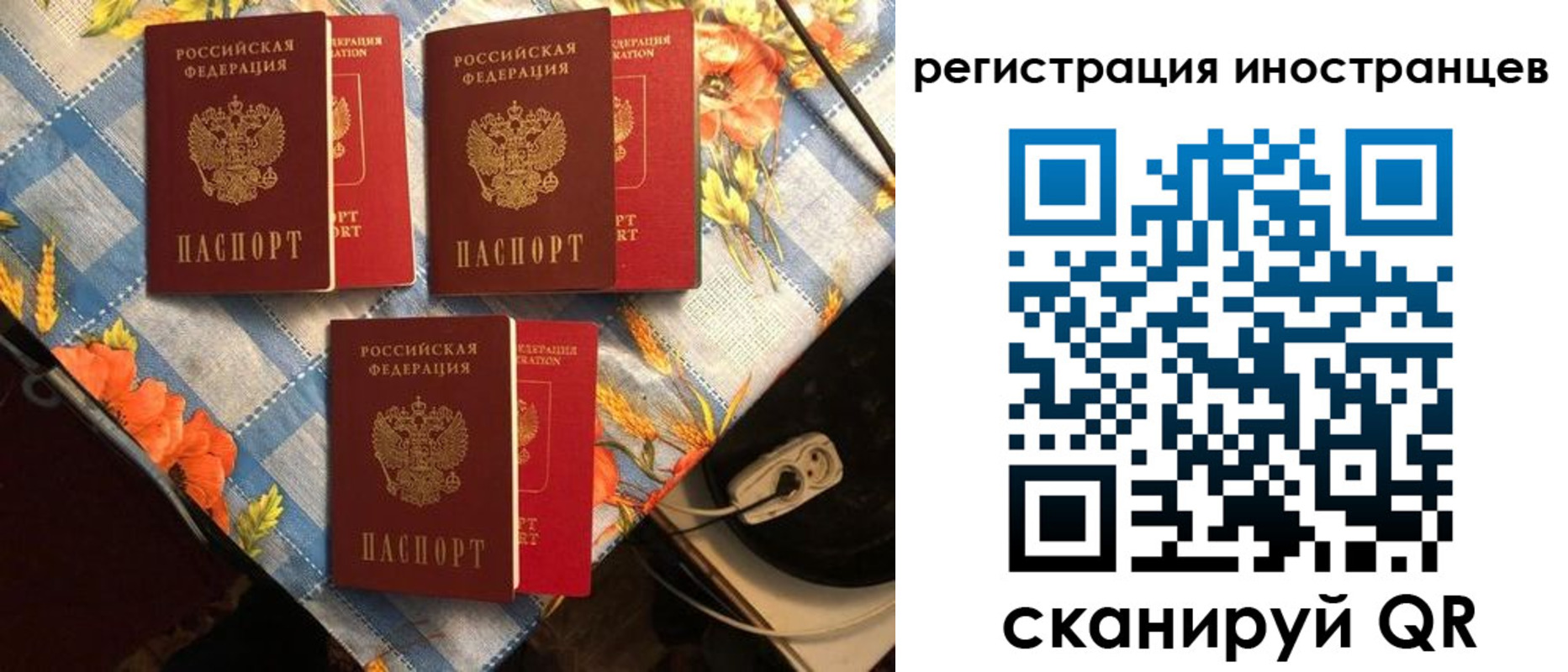 прописка поиск в Кукморе